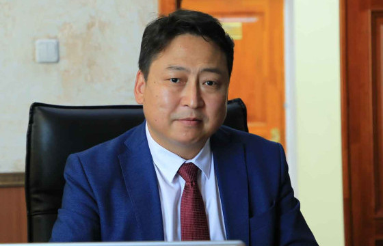 Д.ГАНТУЛГА:  Хагас коксон хамгийн оновчтой хувилбар гэдгийг танилцуулах ёстой, хэн нэгний шахаа  байгаа болов уу гэх хардлага байна