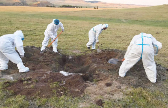 Төв аймгийн Мөнгөнморьт суманд боомын халдвараар нэг хүн өвчилжээ