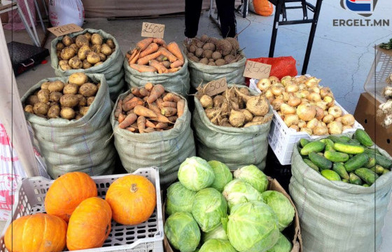 ӨДРИЙН СУРВАЛЖИЛГА: Шинэ ургацын ногоо өмнө жилээс 500-1000 төгрөгөөр нэмэгджээ