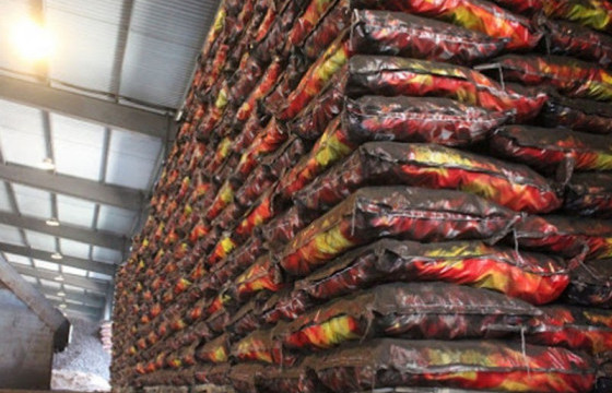 Сайжруулсан шахмал түлшийг хэрэглээнд нэвтрүүлэх ажлыг үе шаттай зохион байгуулна