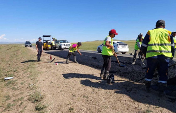 Үзлэг, шалгалт хийж байна