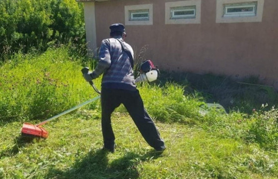 Зуслангийн товчоонд бүртгүүлснээр иргэд хашааныхаа өвсөө хадуулах боломжтой