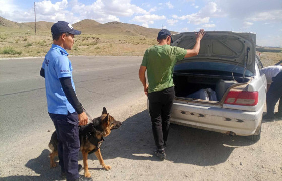 Тарвага хууль бусаар агнасан, тээвэрлэсэн зөрчлийг илрүүлэн шалгаж байна