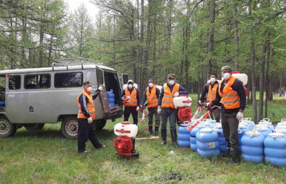 Хортон шавж устгалын бүсээс түүсэн жимсийг хэрэглэхгүй байхыг зөвлөлөө