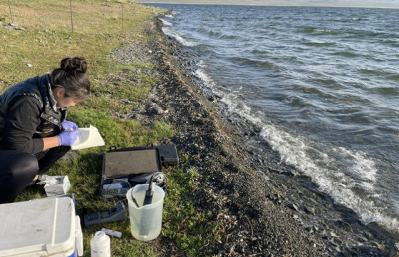 Газарзүй гео-экологийн хүрээлэнгийн судлаачид Өгий нуур орчимд ажиллалаа