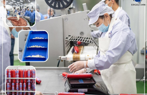 СУРВАЛЖИЛГА: ДЭЛХИЙ ЖИШИГТ НИЙЦСЭН ЭРҮҮЛ ХҮНС БУЮУ МОНГОЛ МАХАН БҮТЭЭГДЭХҮҮНИЙ ШИНЭ ЭРИН ҮЕ