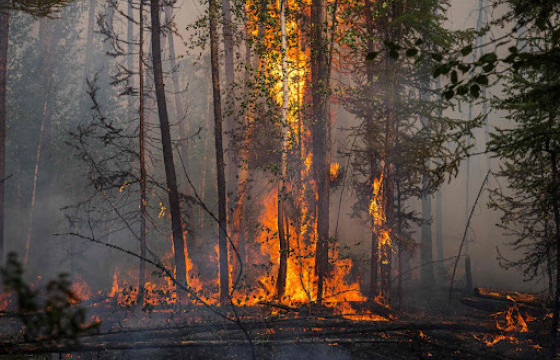 Байгалийн аюулт үзэгдлээс учирсан хохирлын хэмжээ тэрбум ам.долларт хүрчээ