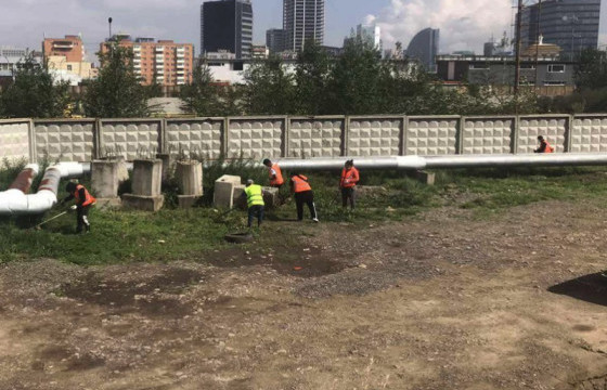 Улсын хэмжээнд 420.5 га талбайн шарилж цэвэрлэжээ