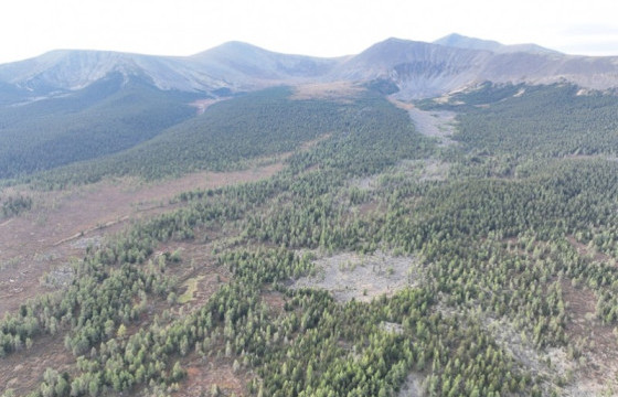 Асралт хайрханы орчим дахь ургамал, амьтад болон хуш модны самрын ургац тогтоох судалгааны ажлыг гүйцэтгэлээ