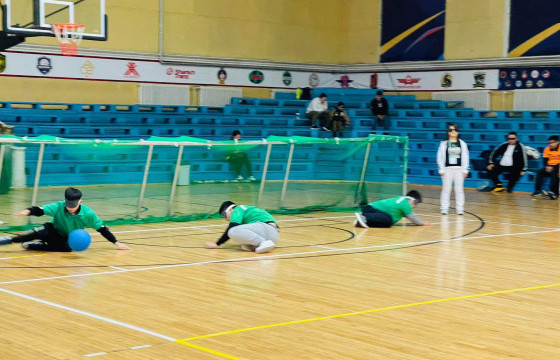 Хонхот бөмбөгийн тэмцээнийг 12 шүүгч дэнсэлнэ