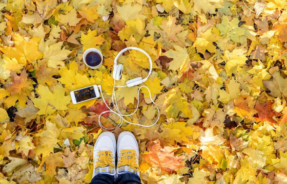 ШАРГАЛ НАВЧИСТАЙ ӨДРҮҮДЭД СОНСОХ 10 ДУУ