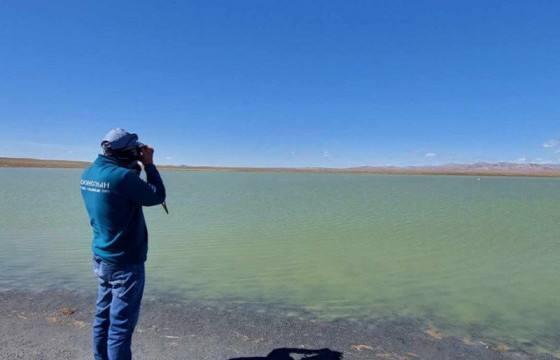 Тарваган тахлын байгалийн голомтын хайгуул шинжилгээ болон шувууны тандалт судалгааг хийлээ