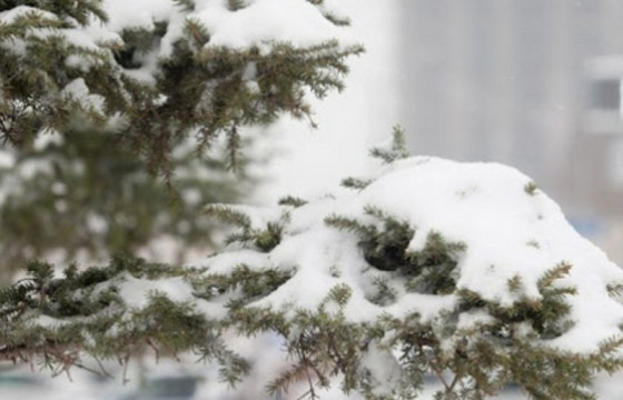 Маргаашаас ихэнх нутгаар бороо, нойтон цас орно