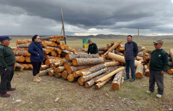 Хууль бус мод бэлтгэл, ан агнуураас урьдчилан сэргийлэх хяналт шалгалтыг хийлээ
