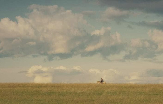 НАМРЫН ШАРГАЛ ТАЛ ДУНДУУР ӨВӨӨГӨӨ ДАГААД АЛХАЖ  ЯВАХДАА...