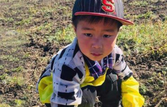 Сураггүй болсон долоон настай хүүг дөрөв дэх өдрөө хайж байна