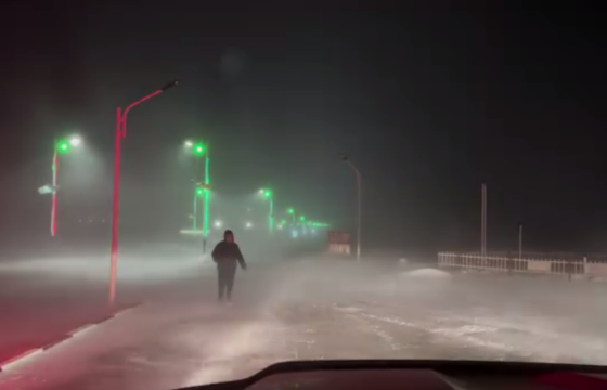 ГОВЬ-АЛТАЙ АЙМГИЙН ЗДТГ-ЫН МЭРГЭЖИЛТЭН: Цасан шуурганы улмаас ямар нэгэн хохирол учраагүй