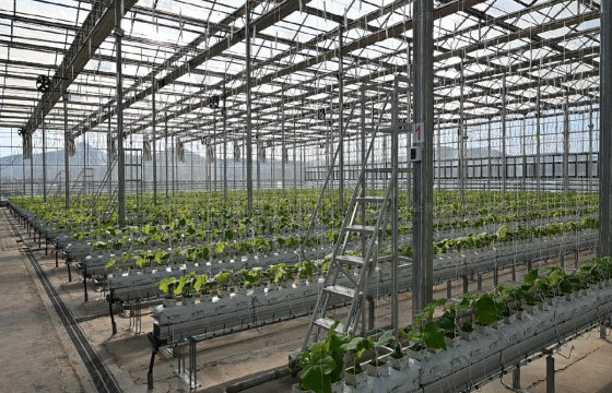 МОНГОЛД ТОХИРОМЖТОЙ ХҮЛЭМЖИЙН ЗАГВАР, ХҮЛЭМЖИД ТАРИАЛАХАД АШИГТАЙ ТАРИМЛУУДЫГ ТОДОРХОЙЛНО