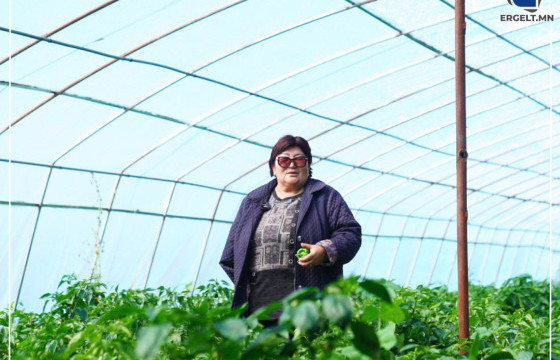 Б.ЭНХЦЭЦЭГ: АНХ САРАВЧИНДАА НОГОО ТАРЬЖ ЭХЭЛЖ БАЙСАН БОЛ ОДОО 10 ГА ТАЛБАЙГААС УРГАЦ ХУРААДАГ БОЛСОН