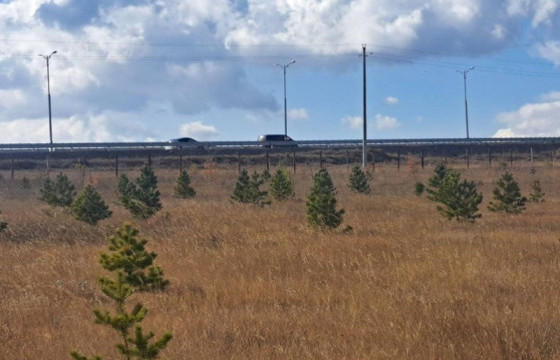 “Шинэ Налайх” цэцэрлэгт хүрээлэнгийн мод, сөөгийн ургалт 95.8 хувьтай байна