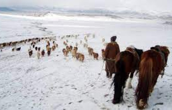 Гэрээсээ гараад сураггүй болсон малчныг эрэн хайж байна