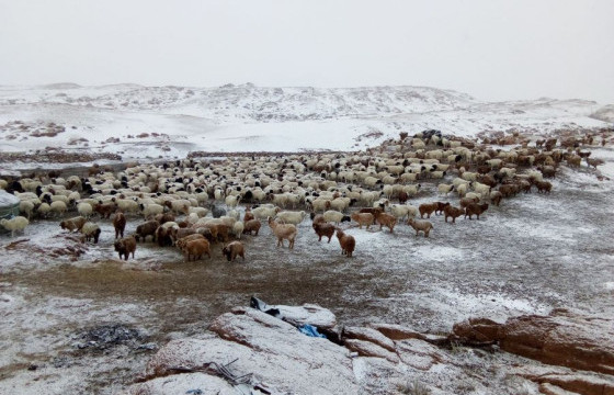 Өвөлжилтийн бэлтгэл 95 хувьтай байна