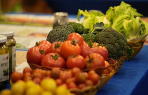 “Монгол ногоо” төсөл хоёр үе шаттай хэрэгжлээ