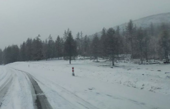 ТОМООХОН ДАВААНУУДАД ХАЛТИРГАА ГУЛГАА ҮҮСЖЭЭ 