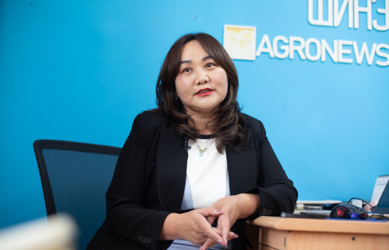  РЕДАКЦЫН БУУХИА: ХӨДӨӨ АЖ АХУЙН САЛБАРААР ДАГНАСАН ШИНЭ ӨСӨЛТИЙНХӨН