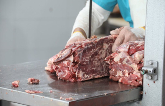 Цагдаагийн байгууллагад “Эмээлт” орчимд байрлах “Мах”-ны үйлдвэрт “муудсан мах дахин боловсруулаад байна” гэх дуудлага бүртгэгджээ