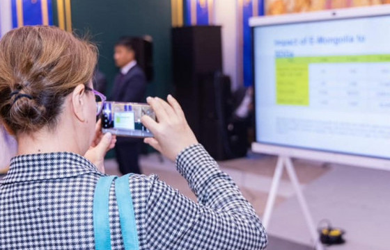 Гадаадын иргэд E-Mongolia-гаар үйлчлүүлж эхэллээ