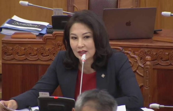 Б.БАЯРСАЙХАН: УИХ-ын гишүүн гишүүний хувьд Завхан руу нислэгээр явахад надад билет олдохгүй байна