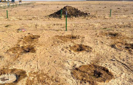 “ТАВАНТОЛГОЙ-ЗҮҮНБАЯН” ЧИГЛЭЛИЙН ТӨМӨР ЗАМЫН ӨРТӨӨ, ЗӨРЛӨГҮҮДЭД 10,000 МОД НЭМЖ ТАРИЛАА