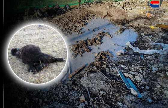 ЖУУЛЧНЫ БААЗ БАРЬЖ БАЙГАА “ХӨВСГӨЛ ДАВАЛГАА” ХХК-ИЙН ХОРДУУЛСАН УСНААС УУСАН ОЛОН ТООНЫ ҮХЭР ХОРОГДЖЭЭ