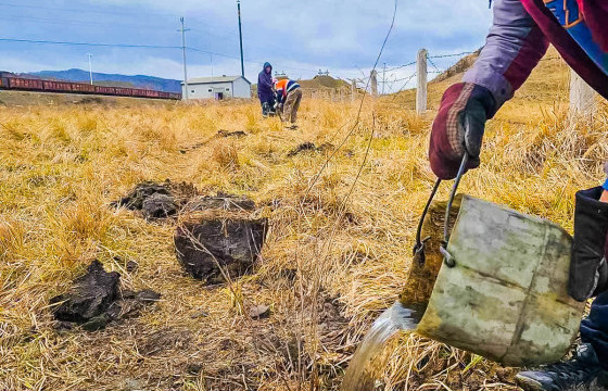 ТӨМӨРТЭЙ ӨРТӨӨНД 1000  МОДНЫ СУУЛГАЦ ТАРИЛАА