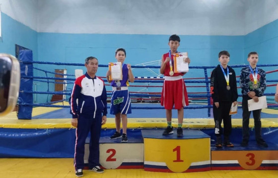 Боксчид ОХУ-ын олон улсын тэмцээнээс алт, хүрэл медаль хүртжээ