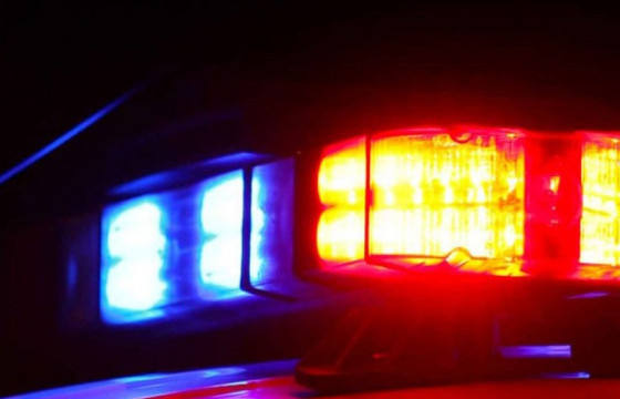 Цагдаагийн байгууллагад бүртгэгдээд илрээгүй байсан 2872 гэмт хэргийг нөхөн илрүүлжээ