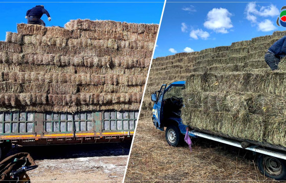 ӨВС НЭГ БООДОЛ НЬ 7-15 МЯНГАН ТӨГРӨГИЙН ҮНЭТЭЙ БАЙНА