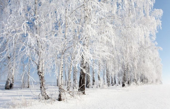 ЦАГ АГААР: Өдөртөө -7 хэм хүйтэн