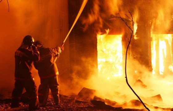 НОБГ: Иргэдийн 15 тэрбум 360 сая төгрөгийн өмч хөрөнгийг авран хамгааллаа