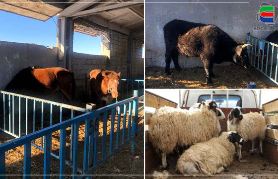 НАС ГҮЙЦСЭН ИДЭШНИЙ ҮХЭР 2.4 САЯ ТӨГРӨГИЙН ХАНШТАЙ БАЙНА