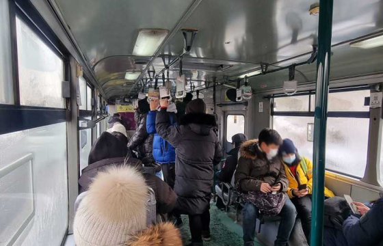 БУСАД РУУ ГӨЛРӨН ШИРТЭЖ, НИЙТИЙН ТЭЭВЭРТ АМЬДРАЛАА ХАШХИЧИЖ ЯРЬДГАА БОЛЬЁ, МОНГОЛЧУУД АА