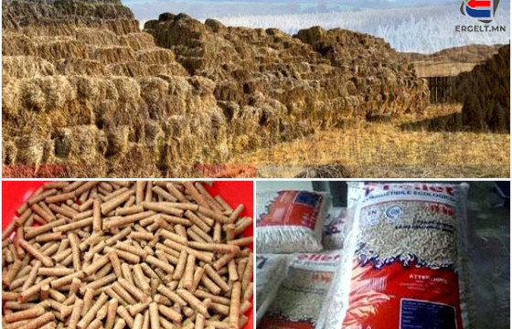 ХЭДЭН УДААГИЙН ЦАС, ШУУРГАНААР ӨВС, ТЭЖЭЭЛИЙН ҮНЭ КГ НЬ 10 МЯНГААС 52 МЯНГА БОЛЖ, ТЭНГЭРТ ХАДЛАА
