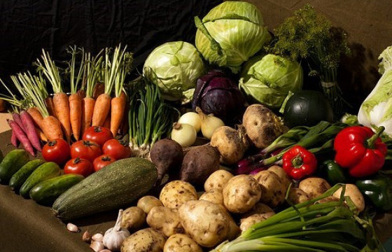 Хүнсний ногооны 85 хувийг дотоодын ургацаас хангана