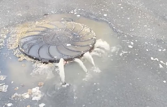 М.БАЛДАНДОРЖ: БОХИРЫН ХООЛОЙНД ХОНИНЫ НЭХИЙ ХИЙСЭН БАЙСАН УЧИР БӨГЛӨРЧ, ХАЛЬСАН