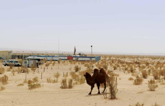 УЛААНБАДРАХ СУМЫН МАЛ УРАНД ХОРДОЖ, ЗУРГААН ХӨЛ, ХОЁР ТОЛГОЙТОЙ ТӨЛ ТӨРЖ БАЙНА ГЭХ ДУУЛИАНЫ МӨРӨӨР...