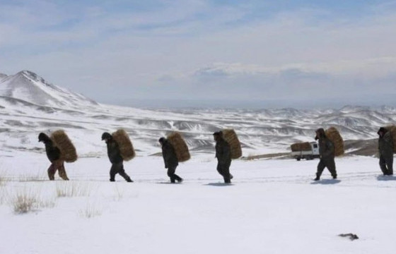 “Байгаль хамгаалагчдын II чуулган” энэ сарын 25-нд болно