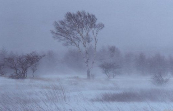 Согтууруулах ундаа хэрэглэсэн үедээ гэрээсээ гараад сураггүй болсон залуугийн цогцсыг уулын бэлээс олжээ