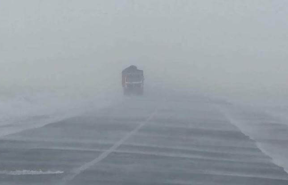 ЦАГ АГААР: Ихэнх нутгаар цас орж, цасан шуурга шуурна