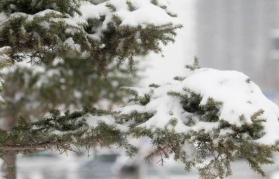 ЦАГ АГААР: Улаанбаатарт шөнөдөө цас орно